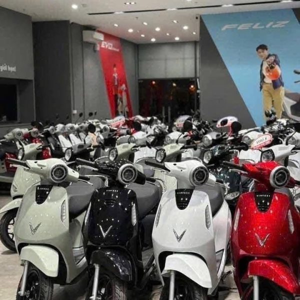 thuê xe điện bắc ninh, thuê xe điện quế võ
