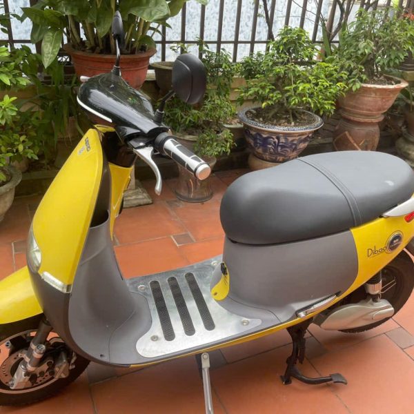 thuê xe điện bắc ninh, thuê xe điện ở bắc ninh